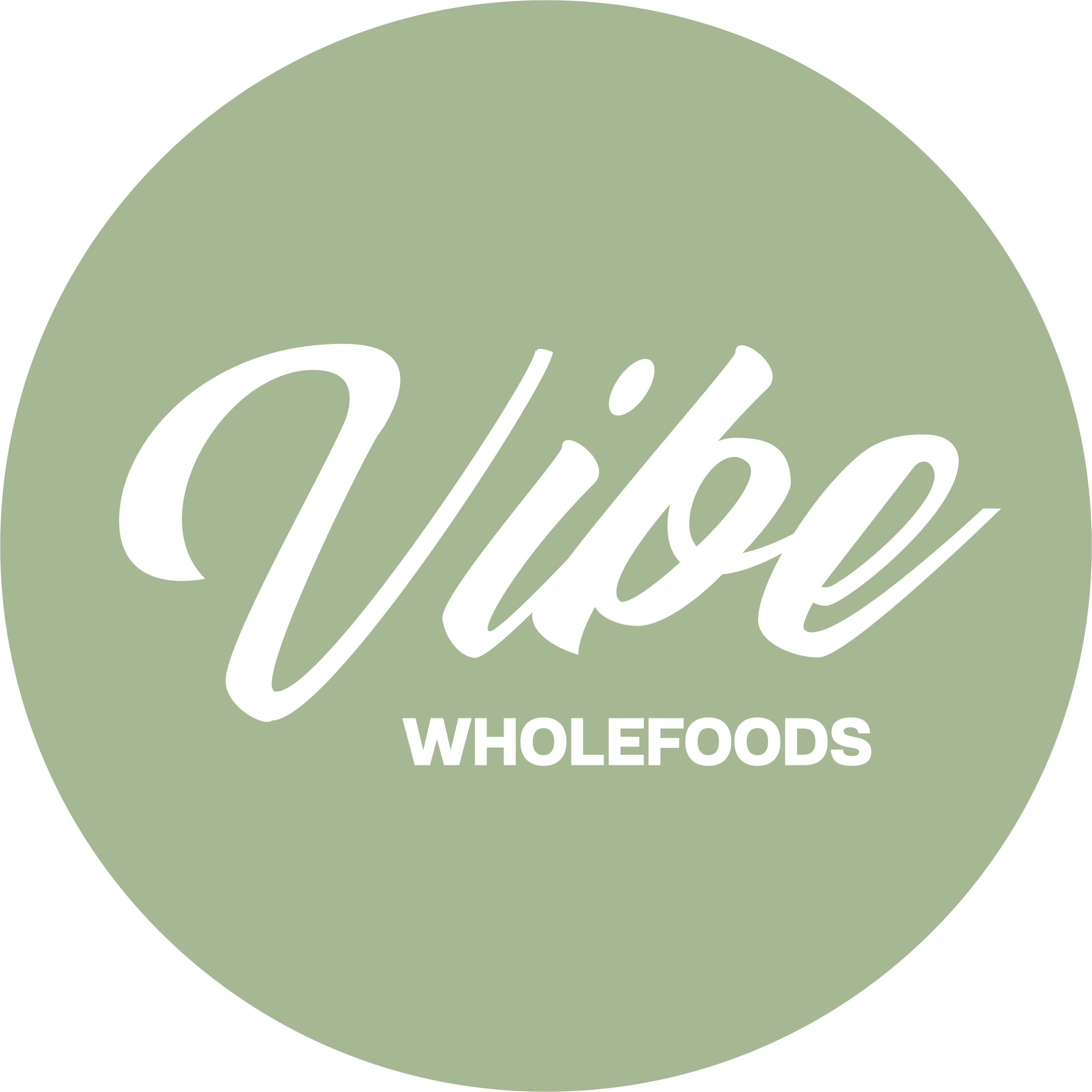 Logo for Vibe Wholefoods